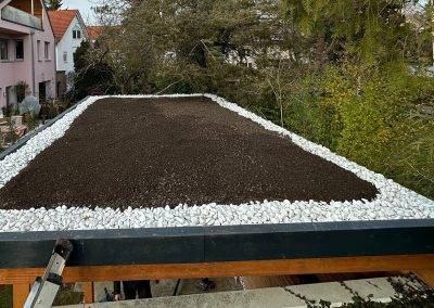 Pergola mit Gründach in München